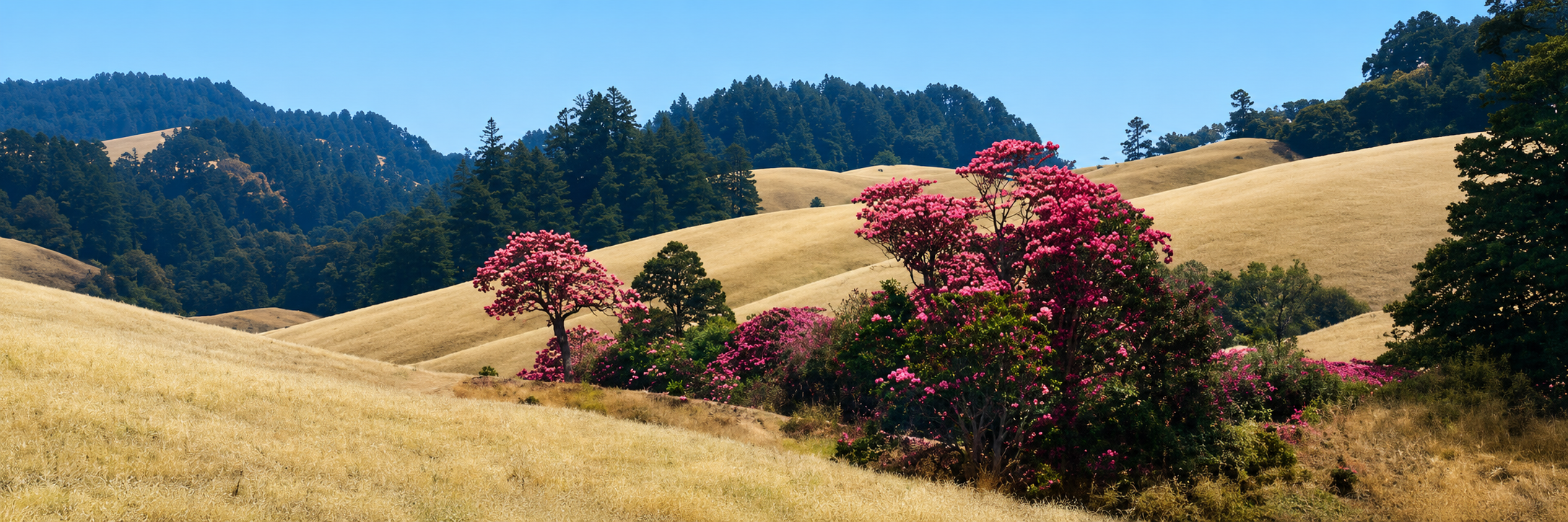 Khaptad Beauty