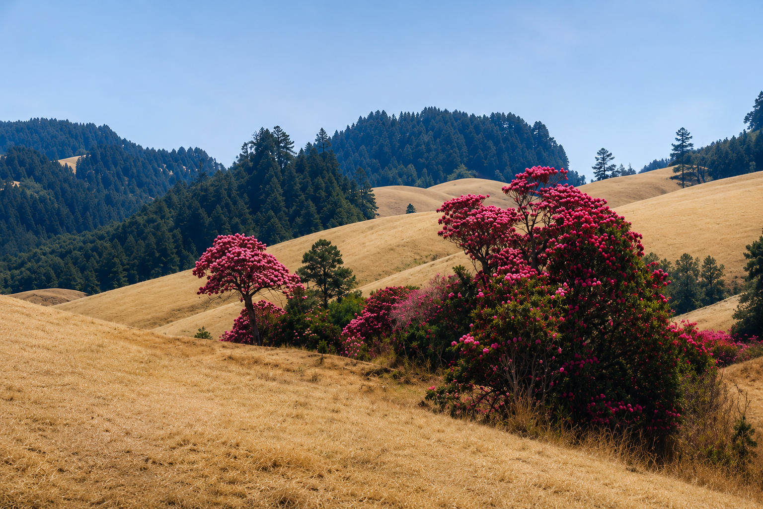 Khaptad Trekking