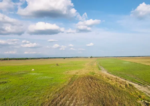 Shuklaphanta grassland, Nepal's largest
